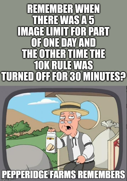 PEPPERIDGE FARMS REMEMBERS | REMEMBER WHEN THERE WAS A 5 IMAGE LIMIT FOR PART OF ONE DAY AND THE OTHER TIME THE 10K RULE WAS TURNED OFF FOR 30 MINUTES? | image tagged in pepperidge farms remembers | made w/ Imgflip meme maker