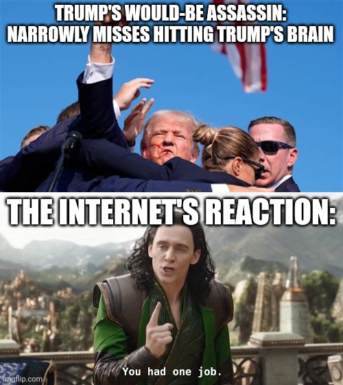 Sad but true | TRUMP'S WOULD-BE ASSASSIN: NARROWLY MISSES HITTING TRUMP'S BRAIN; THE INTERNET'S REACTION: | image tagged in you had one job just the one,trump,loki | made w/ Imgflip meme maker