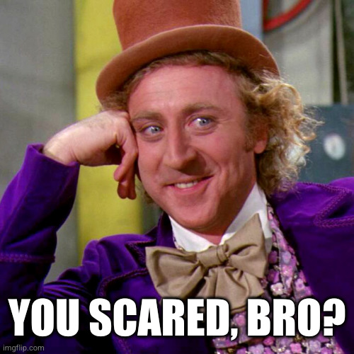 You Scared, Bro? | YOU SCARED, BRO? | image tagged in scared,you mad bro,willy wonka,afraid,coward | made w/ Imgflip meme maker