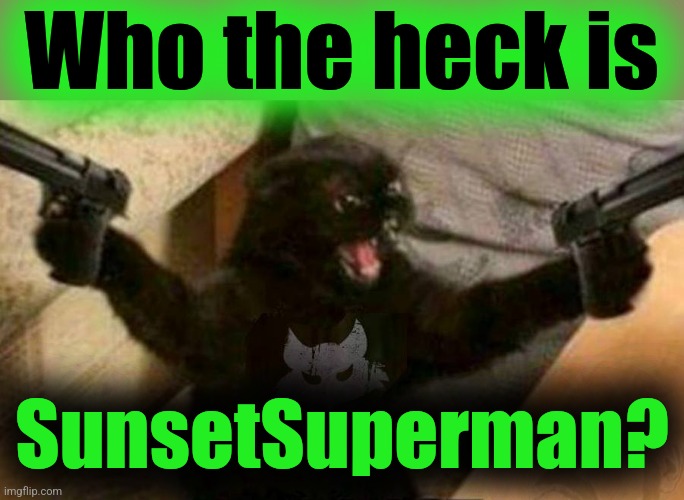 Cat With Guns | Who the heck is SunsetSuperman? | image tagged in cat with guns | made w/ Imgflip meme maker