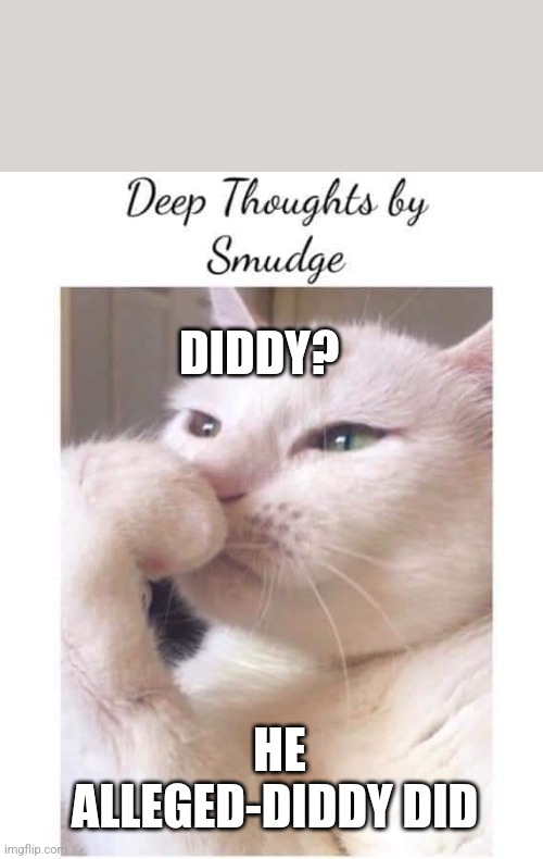 Deep-Thoughts-By-Smudge | DIDDY? HE ALLEGED-DIDDY DID | image tagged in deep-thoughts-by-smudge | made w/ Imgflip meme maker