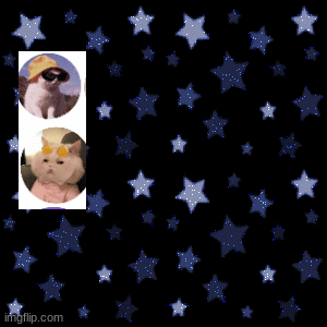 stars are pretty just like you | image tagged in gifs | made w/ Imgflip images-to-gif maker