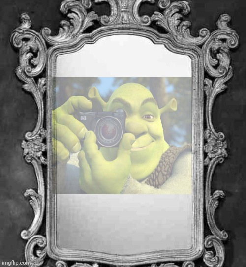 Mirror | image tagged in mirror | made w/ Imgflip meme maker