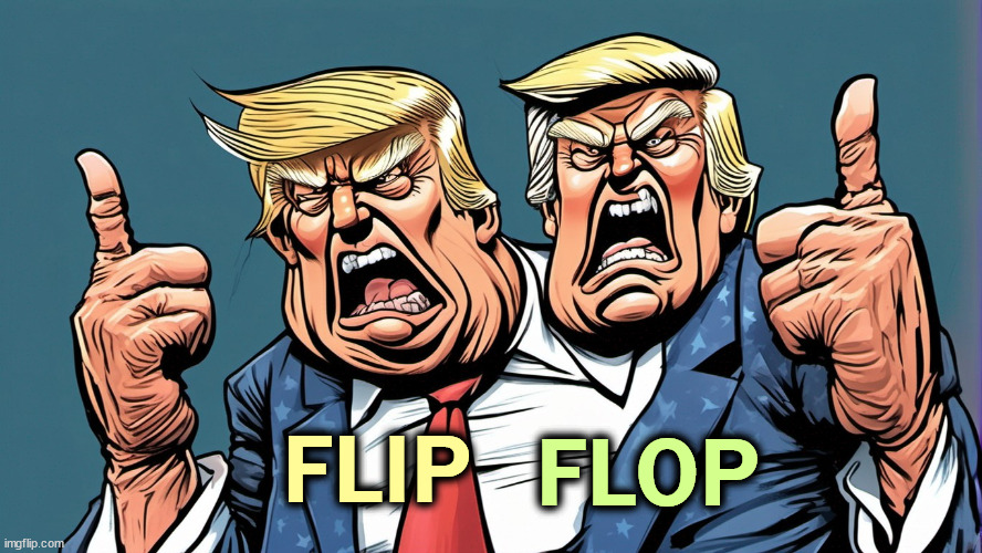 Trump on TikTok: 1) a threat to national security, 2) a unique medium for freedom of  expression. FLIP FLOP! | FLIP; FLOP | image tagged in trump,flip flops,daily,tiktok,hypocrisy | made w/ Imgflip meme maker