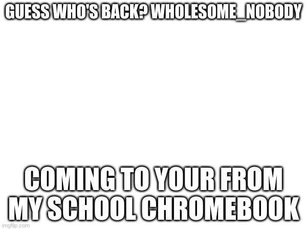 i need to be in LGBT stream | GUESS WHO'S BACK? WHOLESOME_NOBODY; COMING TO YOUR FROM MY SCHOOL CHROMEBOOK | image tagged in im back | made w/ Imgflip meme maker