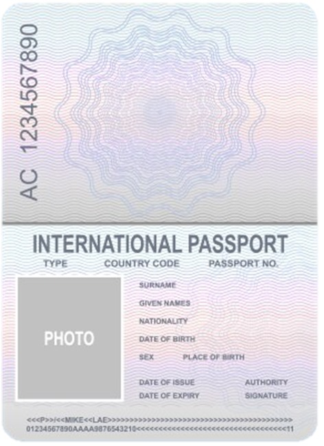 Meme Passport Blank Meme Template