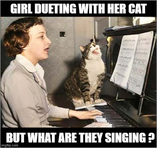 Sing-Along-A-Cat ! | GIRL DUETING WITH HER CAT; BUT WHAT ARE THEY SINGING ? | image tagged in cats,piano,duet | made w/ Imgflip meme maker