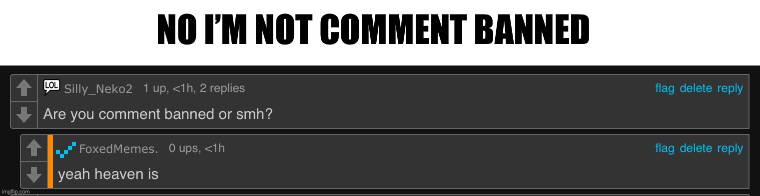 Wondering is encouraging someone to type out the n word in Andrew’s dms counts as a ban from the encourager | NO I’M NOT COMMENT BANNED | made w/ Imgflip meme maker