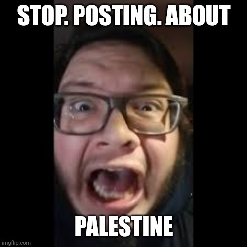 STOP. POSTING. ABOUT AMONG US | STOP. POSTING. ABOUT; PALESTINE | image tagged in stop posting about among us | made w/ Imgflip meme maker