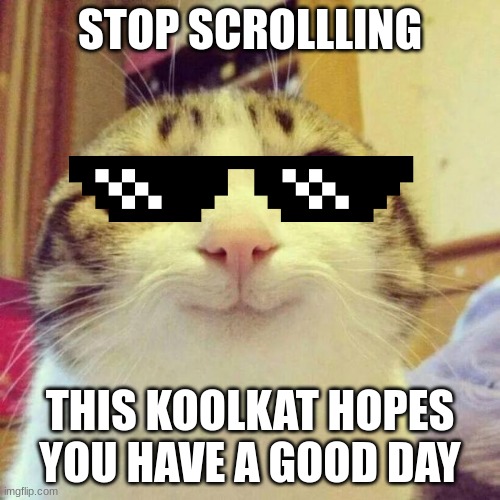 hello | STOP SCROLLLING; THIS KOOLKAT HOPES YOU HAVE A GOOD DAY | image tagged in memes,smiling cat,cat,sunglasses,cool cat | made w/ Imgflip meme maker