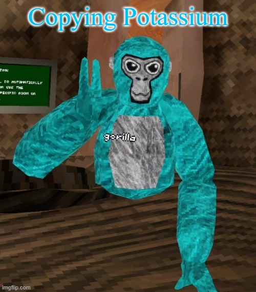 Monkey | Copying Potassium | image tagged in monkey | made w/ Imgflip meme maker