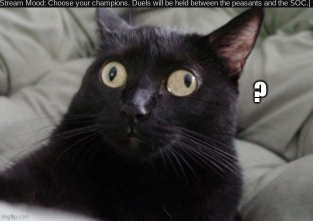 ??? | ? | image tagged in confused cat | made w/ Imgflip meme maker