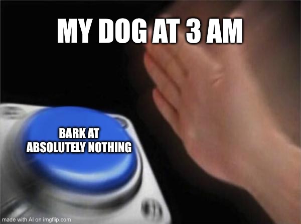 Fr tho | MY DOG AT 3 AM; BARK AT ABSOLUTELY NOTHING | image tagged in memes,blank nut button | made w/ Imgflip meme maker