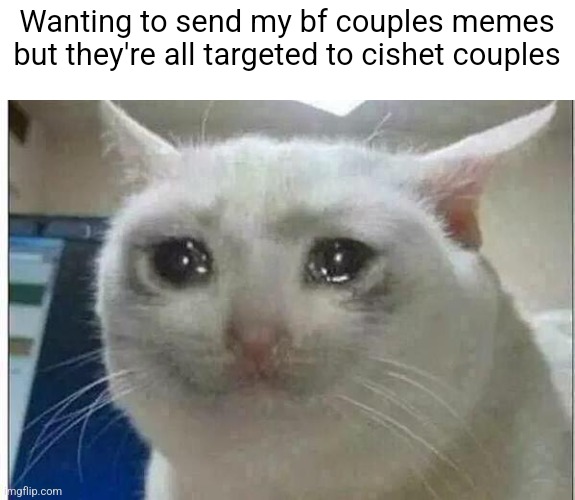 Where is my trans bf x nb partner couples rep | Wanting to send my bf couples memes but they're all targeted to cishet couples | image tagged in crying cat | made w/ Imgflip meme maker