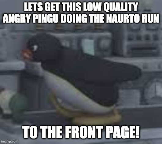 angry pingu naruto running | LETS GET THIS LOW QUALITY ANGRY PINGU DOING THE NAURTO RUN; TO THE FRONT PAGE! | image tagged in memes,funny,goofy ahh,naruto run,oh wow are you actually reading these tags,why not | made w/ Imgflip meme maker