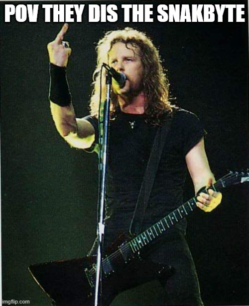 Snakebyte | POV THEY DIS THE SNAKBYTE | image tagged in metallica,james hetfield,guitar | made w/ Imgflip meme maker