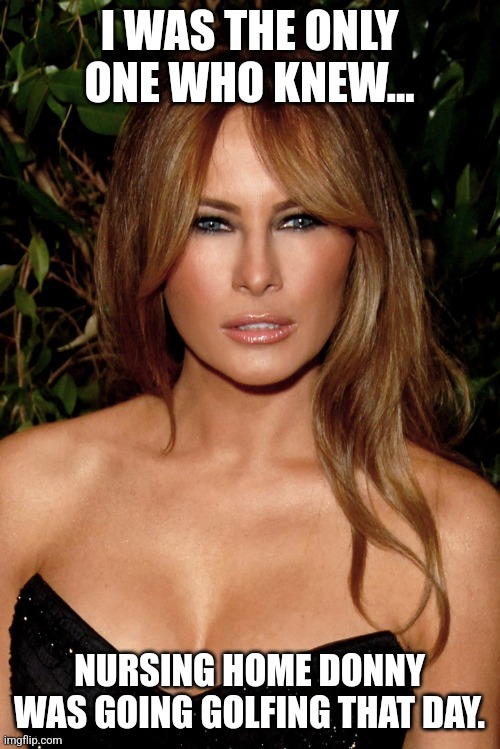 Melania almost saved America | I WAS THE ONLY ONE WHO KNEW... NURSING HOME DONNY WAS GOING GOLFING THAT DAY. | image tagged in donald trump,trump,kamala harris,maga,conservative,republican | made w/ Imgflip meme maker