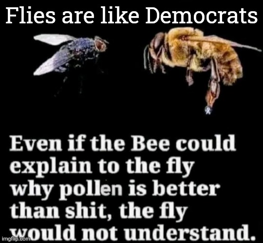 Like 2 Different Realities | Flies are like Democrats | image tagged in politicians suck,honey tell me what's wrong,agree to disagree,get it together,discovering something that doesn t exist | made w/ Imgflip meme maker