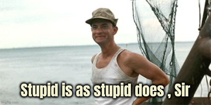 Forrest Gump Waving | Stupid is as stupid does , Sir | image tagged in forrest gump waving | made w/ Imgflip meme maker