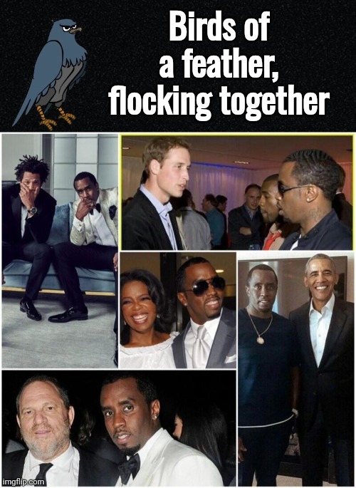 Birds of a feather | Birds of a feather, flocking together | image tagged in bkacky mcblackerson,celebrity | made w/ Imgflip meme maker