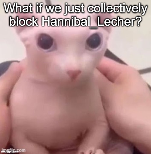 bingus | What if we just collectively block Hannibal_Lecher? | image tagged in bingus | made w/ Imgflip meme maker