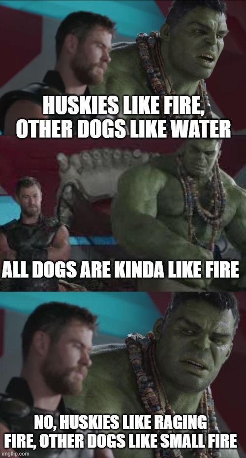 Huskies | HUSKIES LIKE FIRE, OTHER DOGS LIKE WATER; ALL DOGS ARE KINDA LIKE FIRE; NO, HUSKIES LIKE RAGING FIRE, OTHER DOGS LIKE SMALL FIRE | image tagged in thor,hulk,raging fire,husky,huskies | made w/ Imgflip meme maker