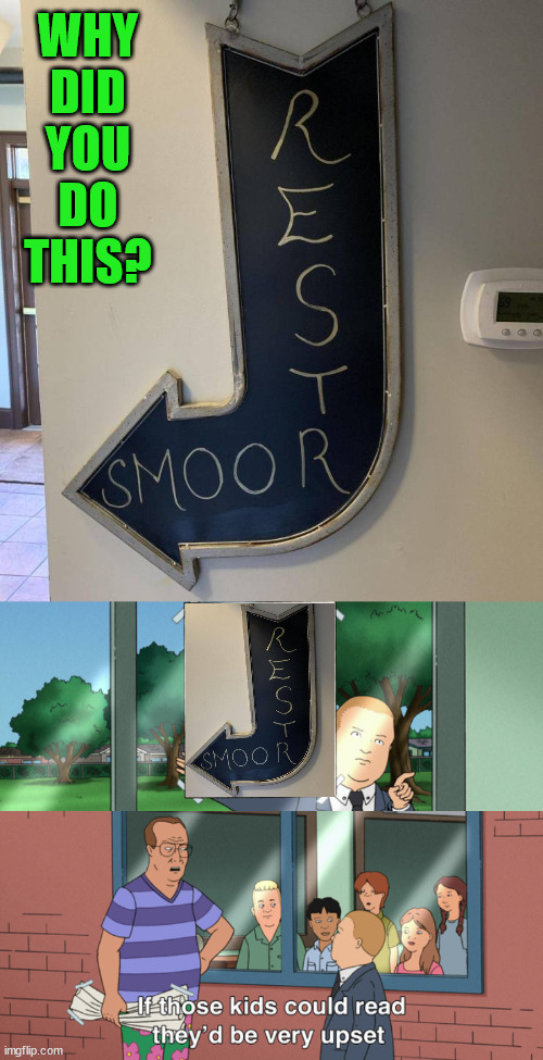 Let's go to the Restsmoor or SmoorRest | WHY
DID
YOU
DO
THIS? | image tagged in if those kids could read they'd be very upset | made w/ Imgflip meme maker