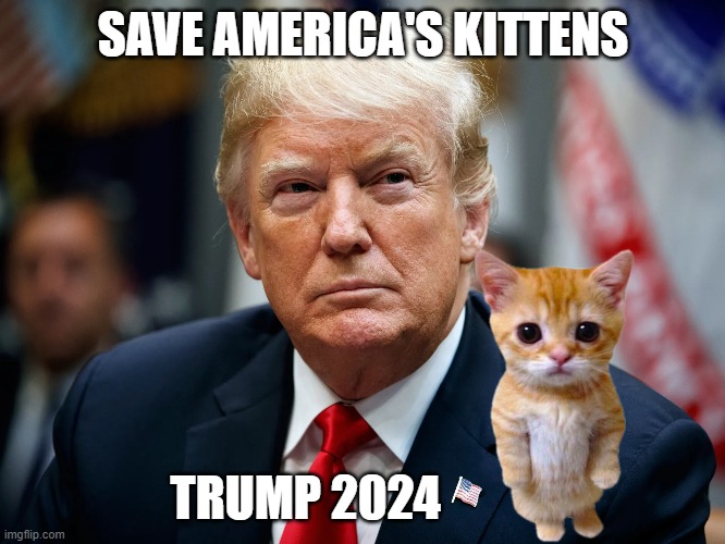 SAVE AMERICA'S KITTENS; TRUMP 2024 | made w/ Imgflip meme maker