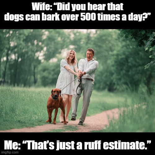 Ruff estimate | Wife: “Did you hear that dogs can bark over 500 times a day?”; Me: “That’s just a ruff estimate.” | image tagged in black square,dog,puns,husband wife | made w/ Imgflip meme maker