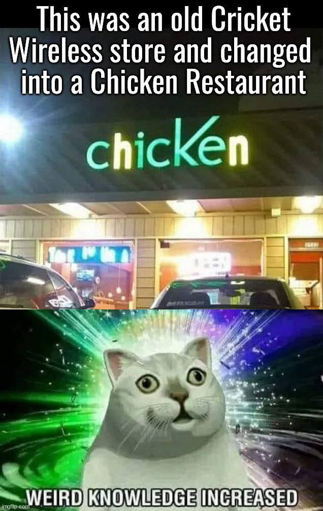 Either a lazy or ingenious person came up with this | This was an old Cricket Wireless store and changed 
into a Chicken Restaurant | image tagged in knowledge is power,lazy,ingenious | made w/ Imgflip meme maker