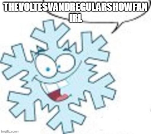 Snowflake says | THEVOLTESVANDREGULARSHOWFAN IRL | image tagged in snowflake says | made w/ Imgflip meme maker