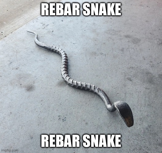 Rebar snake welding JPP | REBAR SNAKE REBAR SNAKE | image tagged in rebar snake welding jpp | made w/ Imgflip meme maker