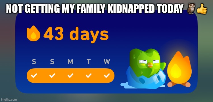NOT GETTING MY FAMILY KIDNAPPED TODAY 🦉👍 | made w/ Imgflip meme maker