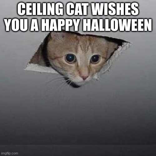 Ceiling Cat Meme | CEILING CAT WISHES YOU A HAPPY HALLOWEEN | image tagged in memes,ceiling cat | made w/ Imgflip meme maker