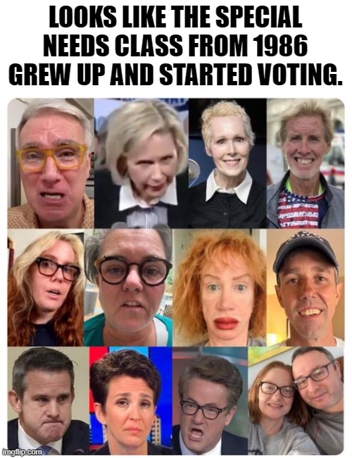 Democratic base. | LOOKS LIKE THE SPECIAL NEEDS CLASS FROM 1986 GREW UP AND STARTED VOTING. | image tagged in funny memes,political meme,political humor,stupid liberals,donald trump approves | made w/ Imgflip meme maker