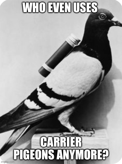 Who Even Uses Carrier Pigeons | WHO EVEN USES; CARRIER PIGEONS ANYMORE? | image tagged in carrier pigeon,harris,hezbollah,palestine,lgbt,trump | made w/ Imgflip meme maker