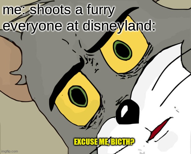 mickey mouse´s killer is still out there | me: shoots a furry; everyone at disneyland:; EXCUSE ME, BICTH? | image tagged in memes,unsettled tom | made w/ Imgflip meme maker