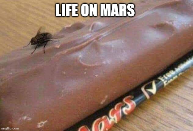 Life on Mars | LIFE ON MARS | image tagged in bugs,planet | made w/ Imgflip meme maker