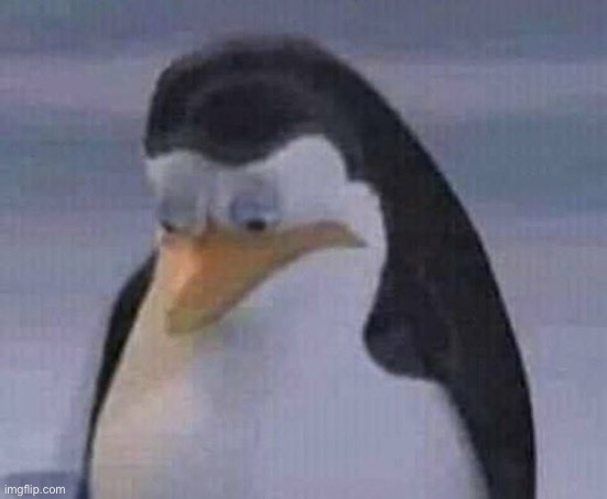 sad penguin | image tagged in sad penguin | made w/ Imgflip meme maker