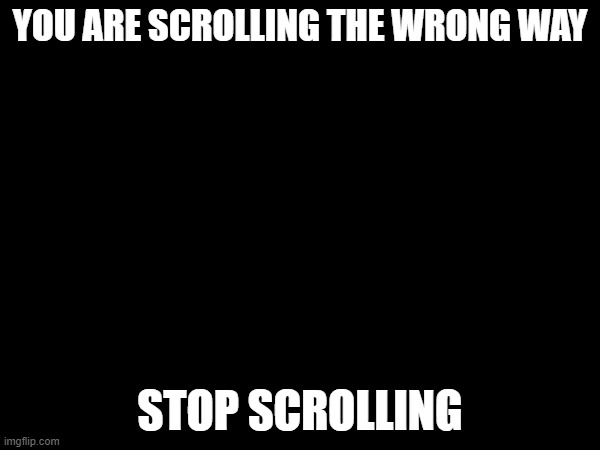 You should scroll down | YOU ARE SCROLLING THE WRONG WAY; STOP SCROLLING | image tagged in memes | made w/ Imgflip meme maker