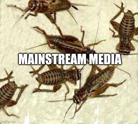 Crickets | MAINSTREAM MEDIA | image tagged in crickets | made w/ Imgflip meme maker