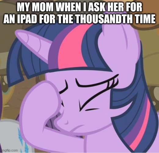 Mlp Twilight Sparkle facehoof | MY MOM WHEN I ASK HER FOR AN IPAD FOR THE THOUSANDTH TIME | image tagged in mlp twilight sparkle facehoof | made w/ Imgflip meme maker