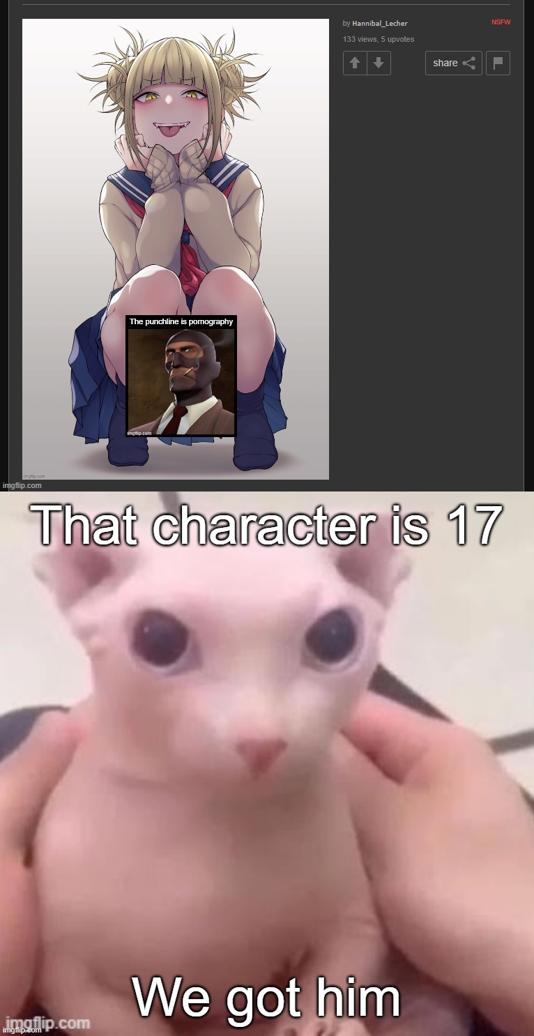 I wouldn't have a problem with the upskirt stream if the characters were over 18 | That character is 17; We got him | image tagged in bingus | made w/ Imgflip meme maker