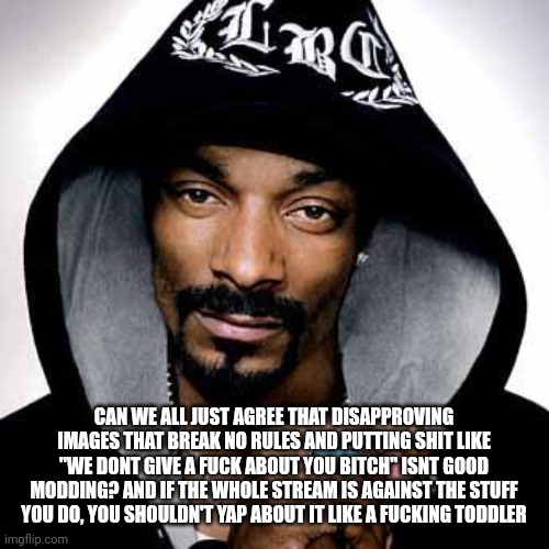 We all know who I am talking about | CAN WE ALL JUST AGREE THAT DISAPPROVING IMAGES THAT BREAK NO RULES AND PUTTING SHIT LIKE "WE DONT GIVE A FUCK ABOUT YOU BITCH" ISNT GOOD MODDING? AND IF THE WHOLE STREAM IS AGAINST THE STUFF YOU DO, YOU SHOULDN'T YAP ABOUT IT LIKE A FUCKING TODDLER | image tagged in snoop dogg | made w/ Imgflip meme maker