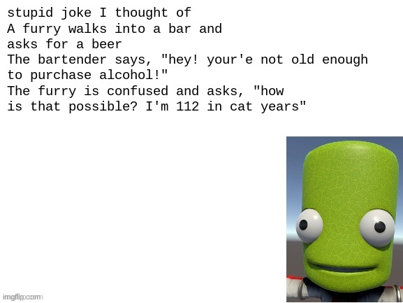 uuh idk | stupid joke I thought of
A furry walks into a bar and asks for a beer
The bartender says, "hey! your'e not old enough to purchase alcohol!"
The furry is confused and asks, "how is that possible? I'm 112 in cat years" | image tagged in epilektoi announcement | made w/ Imgflip meme maker