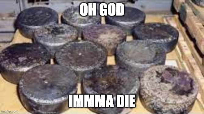 several cores of enriched uraniam 235 from andreapol airbase | OH GOD; IMMMA DIE | image tagged in several cores of enriched uraniam 235 from andreapol airbase | made w/ Imgflip meme maker