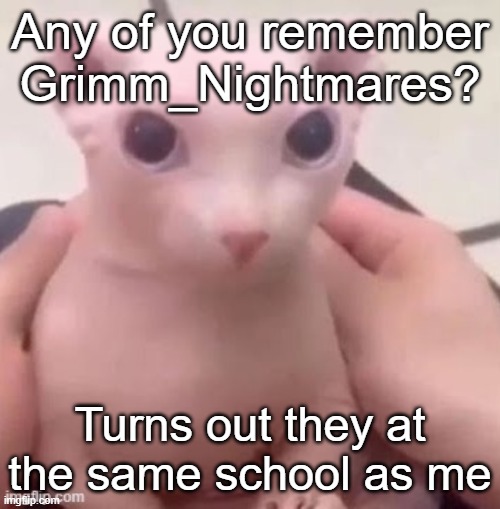 bingus | Any of you remember Grimm_Nightmares? Turns out they at the same school as me | image tagged in bingus | made w/ Imgflip meme maker