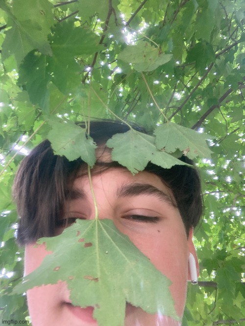 Hit by a leaf. | made w/ Imgflip meme maker