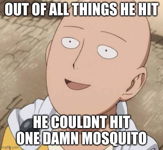 COME ON MAYNE | OUT OF ALL THINGS HE HIT; HE COULDNT HIT ONE DAMN MOSQUITO | image tagged in saitama,bruh moment | made w/ Imgflip meme maker