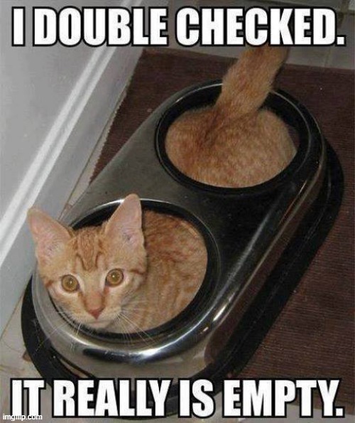 Meal time hint ! | image tagged in cat food | made w/ Imgflip meme maker